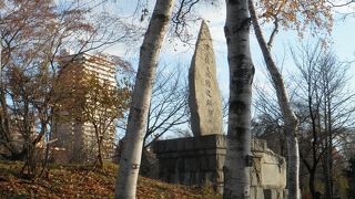 枯葉がたくさん積もっていた