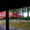 京都随一の借景式枯山水庭園プラス紅葉！！