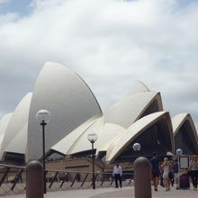 結構きれいに写せてますね