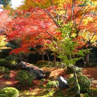こんな時期は京都は人だらけ
