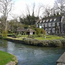 マス料理が名物のようです