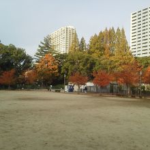 都会の中のオアシス的な公園