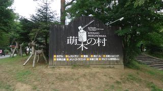 散策に行きました。