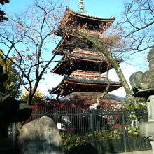 紅葉で色づいた木々が華を添えていました。