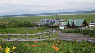 お花の季節は素敵です