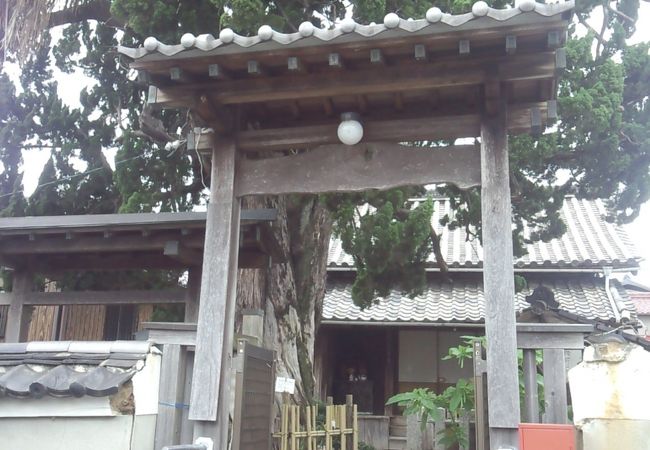 小さな寺院　大きなイブキの木が目印