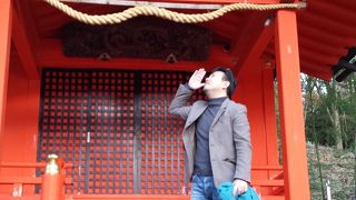 毎年恒例の参拝