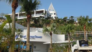 開発されています…