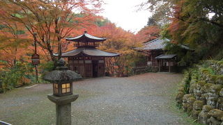 愛宕念仏寺のいいところ！