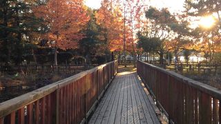 住宅街にある大きな公園です!!