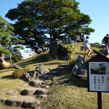 見どころはいろいろ