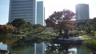 散策にほどよい広さ