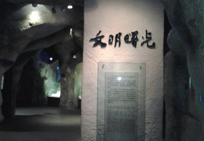 遼寧省博物館 クチコミ・アクセス・営業時間|瀋陽【フォー 遼寧省博物館 クチコミ・アクセス・営業時間|瀋陽【フォー