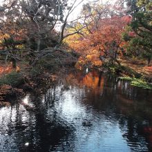 みなさん一緒に撮っていました・・紅葉