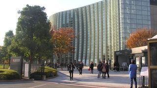 彩り豊かなテラスでのランチをお伴に、芸術の秋を堪能！