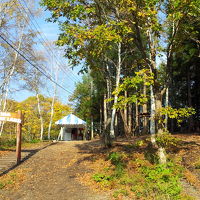 敷地内にあったアスレチック
