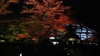 ２０１３/１１/２７　京都　高台寺