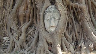 心が癒される、仏頭の静かな微笑み