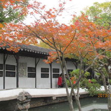 紅葉も良いです。