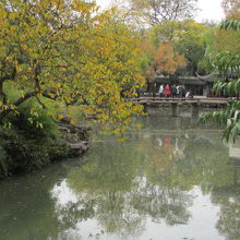 ちょっと黄色くなりました。