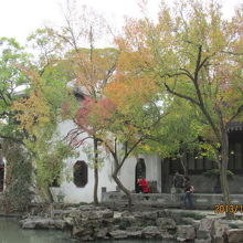 少し色づいてきました。