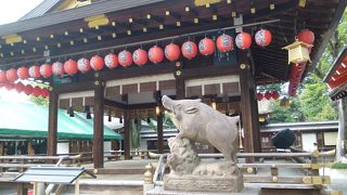 イノシシがお出迎え