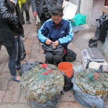 蟹を売ってます。