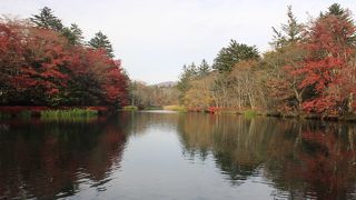 紅葉が綺麗でした