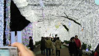 イルミネーションに期待！