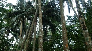 気軽に立ち寄れる景勝地