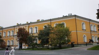 近づいたら怒られます