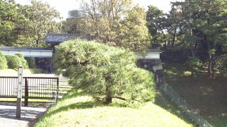 近くで見ることはできませんでした。