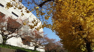 青空に白い建物がよく映えます