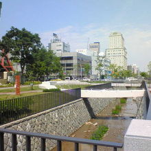 地上からだと普通の橋にしか見えないのが残念。