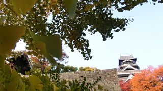 銀杏城☆清正公が植えた銀杏が今も囲む