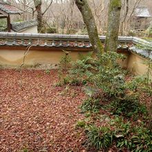 境内は落ち葉の絨毯。花の寺ですが、この季節は花はありません。