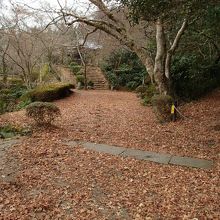 花が咲く桜を想像しながら観賞