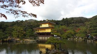 黄金色に輝く！