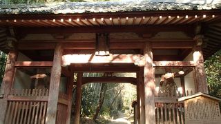 真冬だったので花の咲く季節を想像しながら拝観（勝持寺）