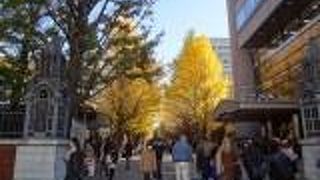 紅葉の季節が素晴らしい