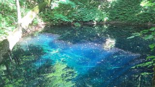 神秘の泉　十二湖の青池