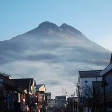 朝起きすれば誰でも撮れますー駅前通り・・晩秋から冬