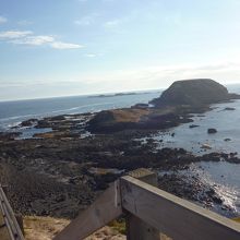 歩いて行った先にペンギンがいます