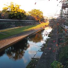 長塀・坪井川･遊歩道