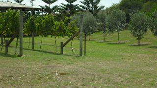 有名なワイナリーです