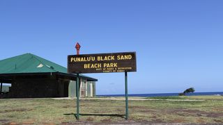 ウミガメと会えました～