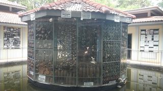 日本人のボランティアが説明してくれる