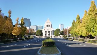 イチョウ並木の美しい秋の国会議事堂