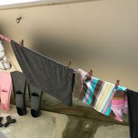 ベランダは本当に便利。