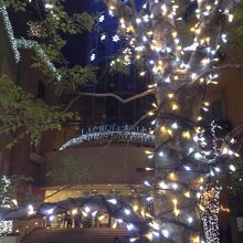 とても大きなツリーです。